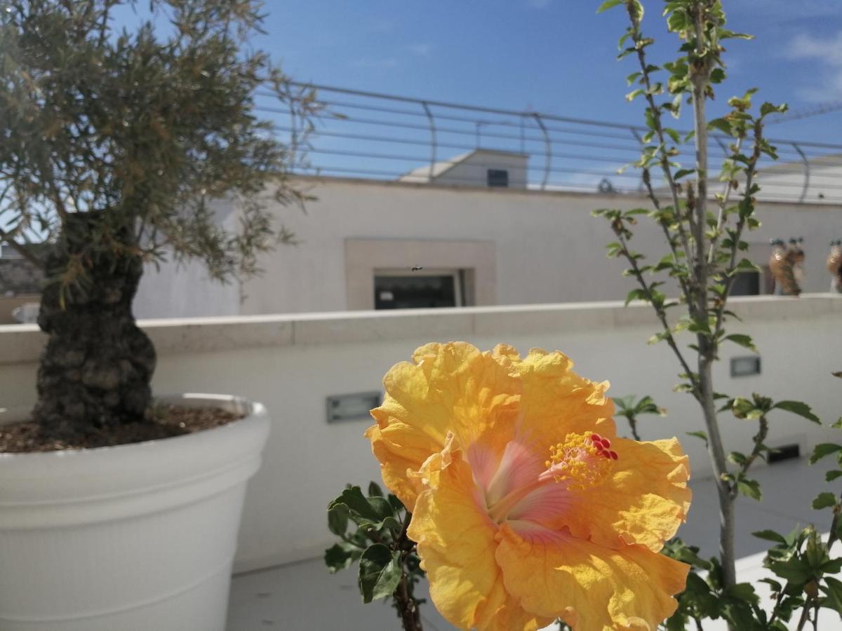 B&B Re Apartments Palazzo Muscati Molfetta Kültér fotó